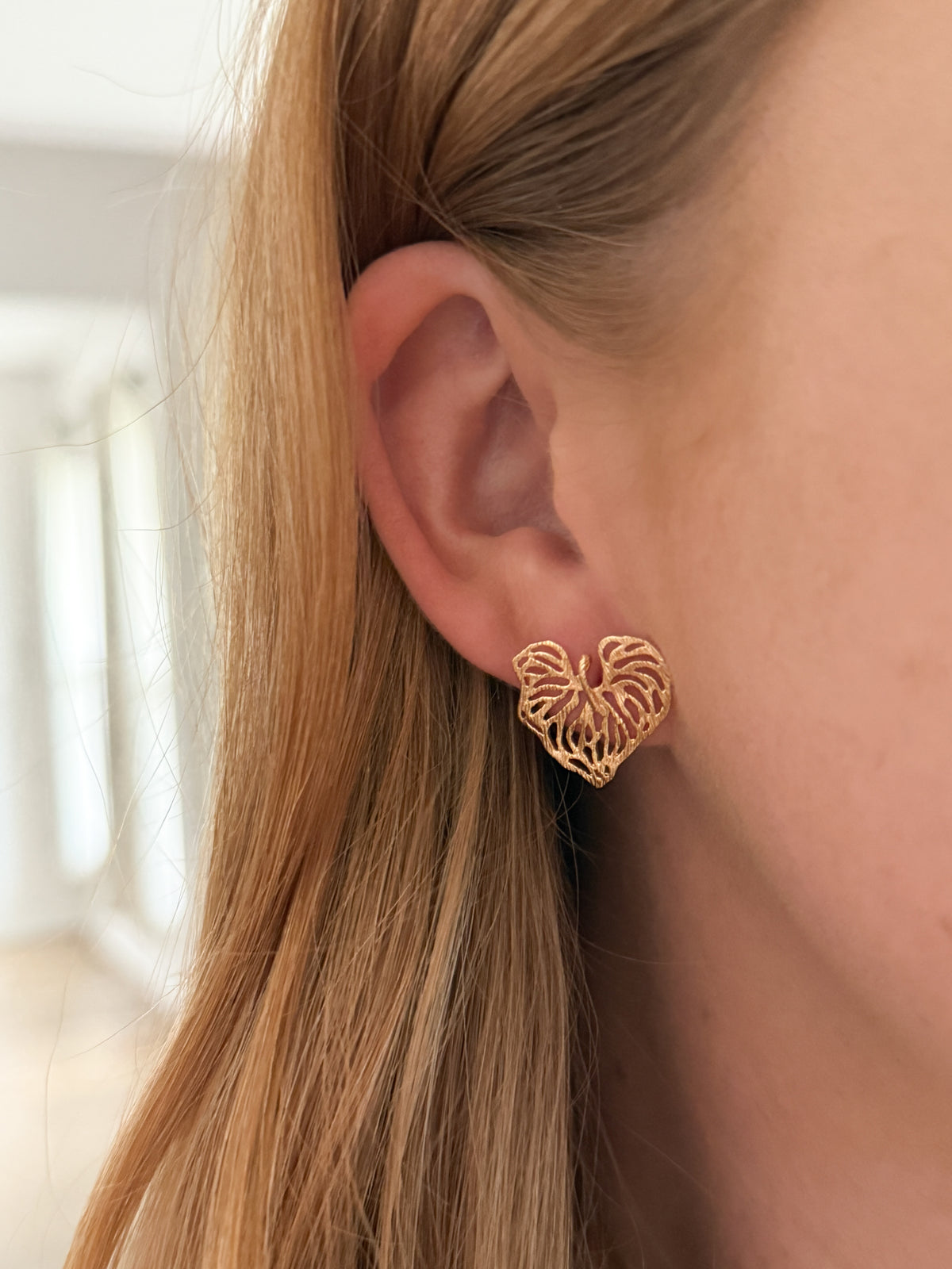 Philodendron Studs