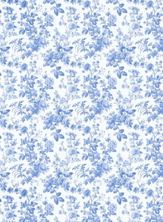 Transfer Paper - 008