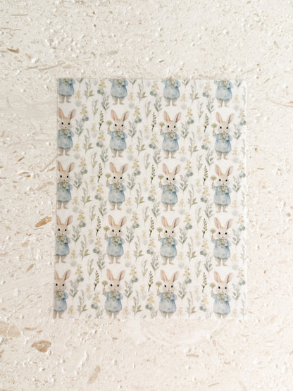 Transfer Paper - 021