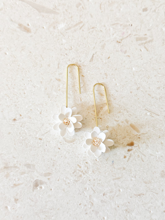 The Daisy Drops
