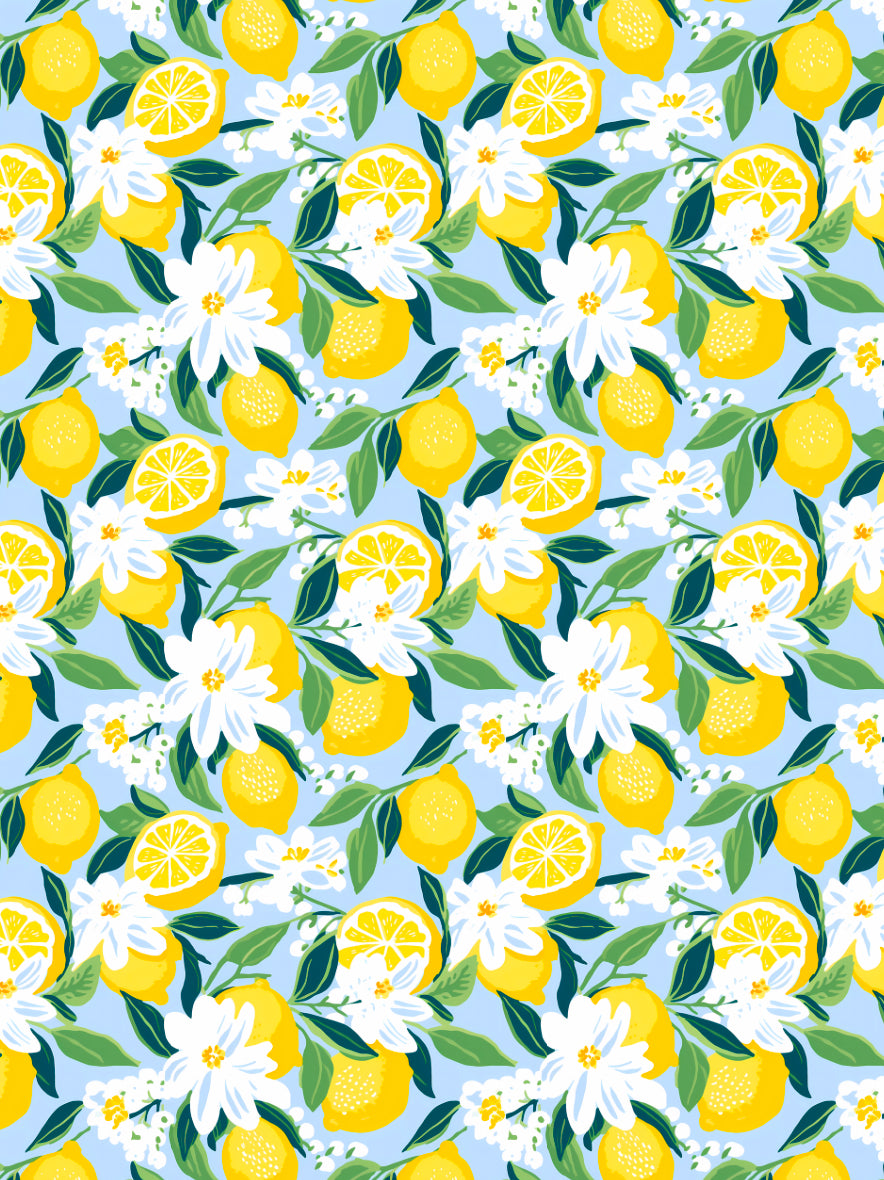Transfer Paper - 001