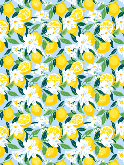 Transfer Paper - 001