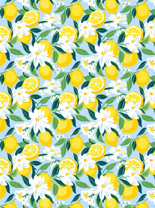 Transfer Paper - 001