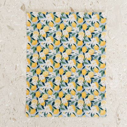 Transfer Paper - 001