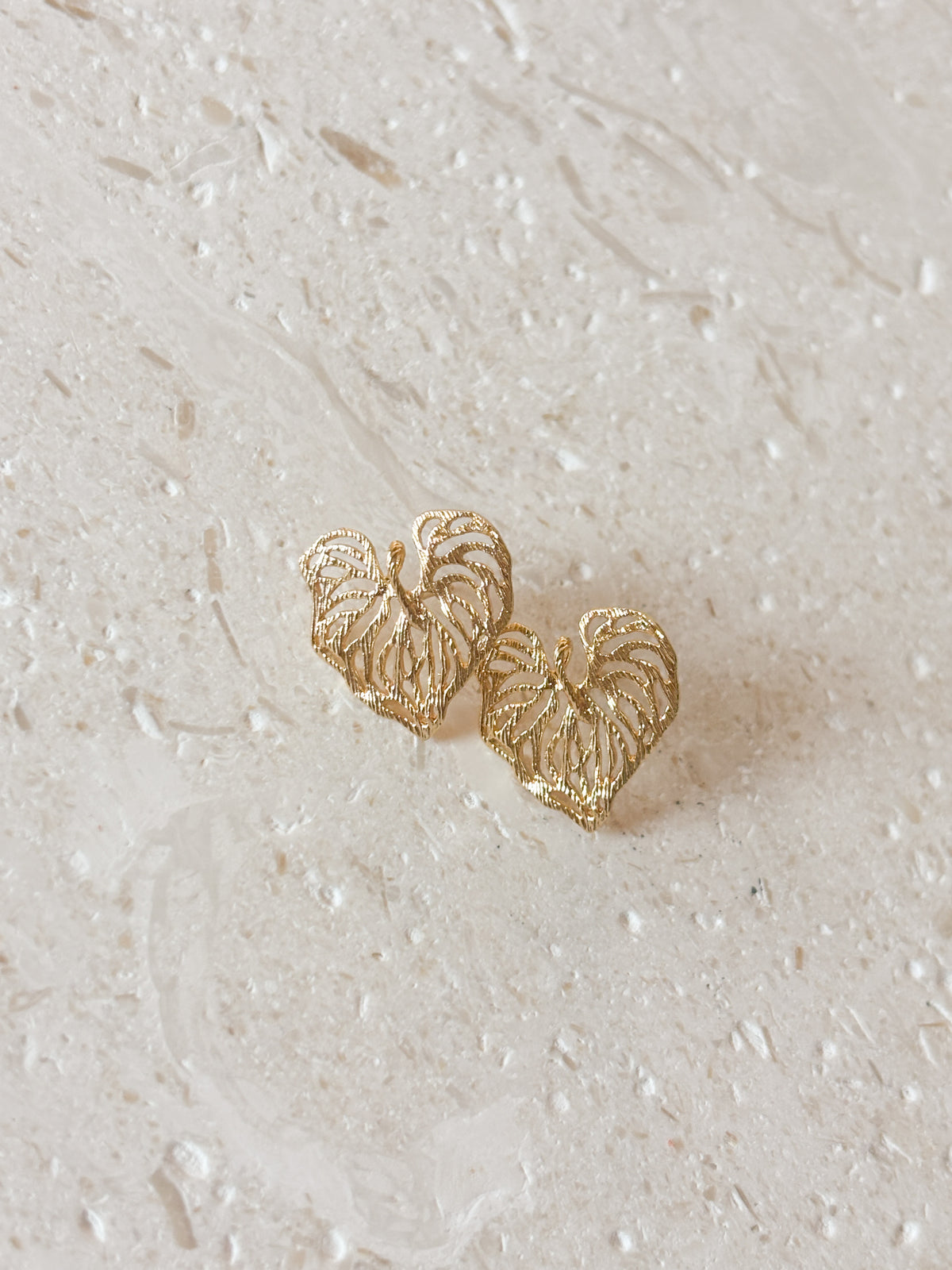 Philodendron Studs