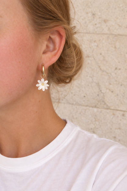 The Daisy Charm