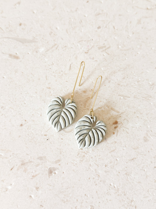 Spring Philodendron Dangles