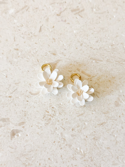 The Daisy Charm