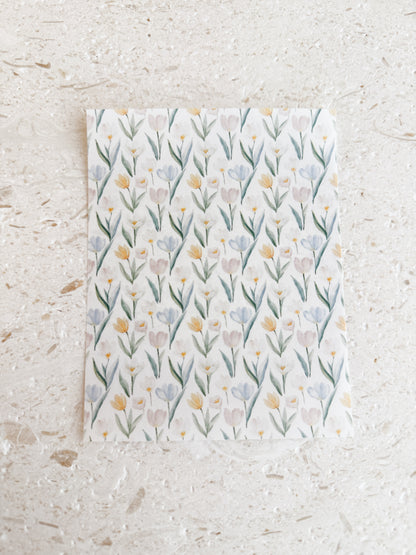 Transfer Paper - 033