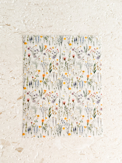 Transfer Paper - 022